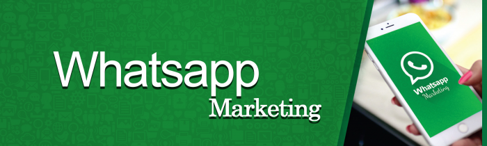 whatsapp marketing - تبلیغات گسترده در واتساپ